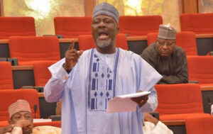 Dino Melaye-dailyfamily.ng