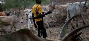 Former Naval chief claims Police know the sponsors of herdsmen